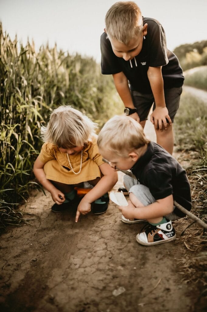 a group of people digging in the dirt